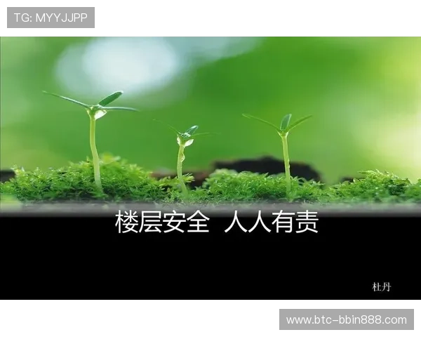 宝盈官网网站安全保障措施全面解析，确保您的资金与个人信息安全无忧